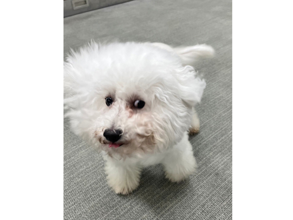生徒が撮影したモデル犬♪～PART②～